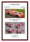Preview: Rennwagen Porsche 917/30 gefahren von Mark Donohue (Talladega / USA, 1975) 1:24