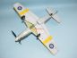 Preview: North American NA-83 Mustang Mk.I (309. Squadron) 1:33