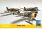 Preview: rumänische Lizenz IAR des polnischen Jagdflugzeuges PZL P.11F (Kufen- oder Radfahrgestell) 1940-1943 1:33