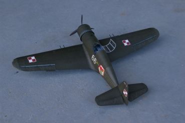 leichtes Jagdflugzeug RWD-25 (1939) 1:33