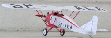 Sportflugzeug PWS-3 (1927) 1:33