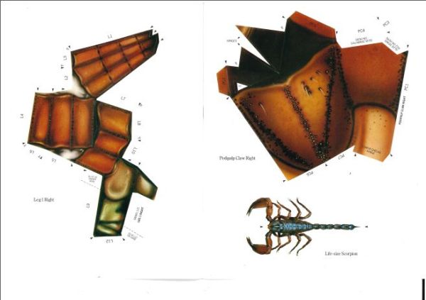 Make a monster Scorpion; Modelllänge: 90 cm!